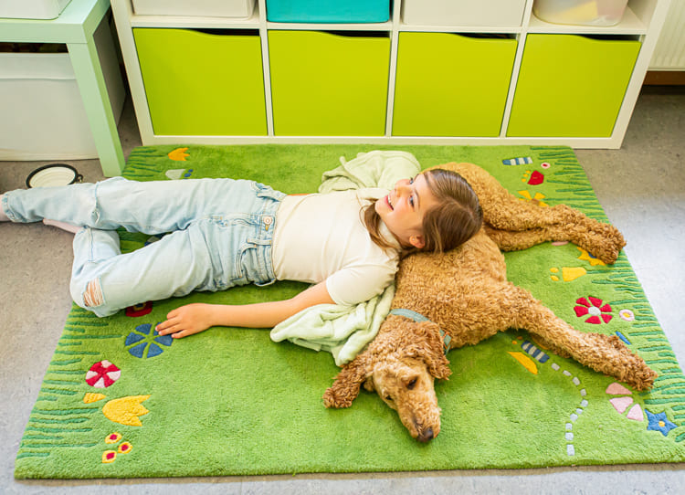 Tiergestützte Therapie